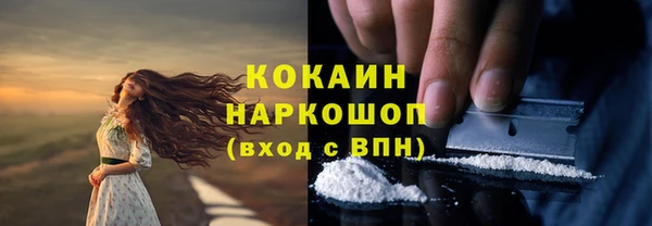 тгк Покров