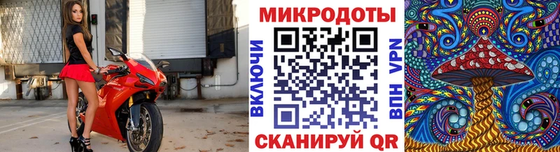 Псилоцибиновые грибы мухоморы  купить наркотик  Барыш 